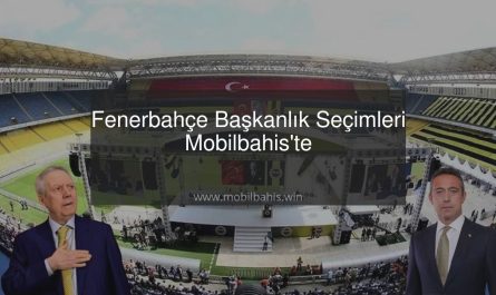 fenerbahçe başkanlık seçimleri
